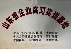 http://www.zgdspjc.cn/2013/ShanDong/pho/rongyu/山東省企業(yè)實習(xí)實順基地00.jpg